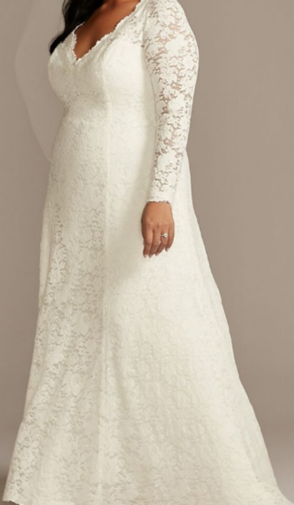 Ivory Scalloped Lace Wedding Dress size 22W